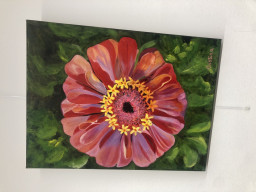 Exposición dia de la mujer 2023